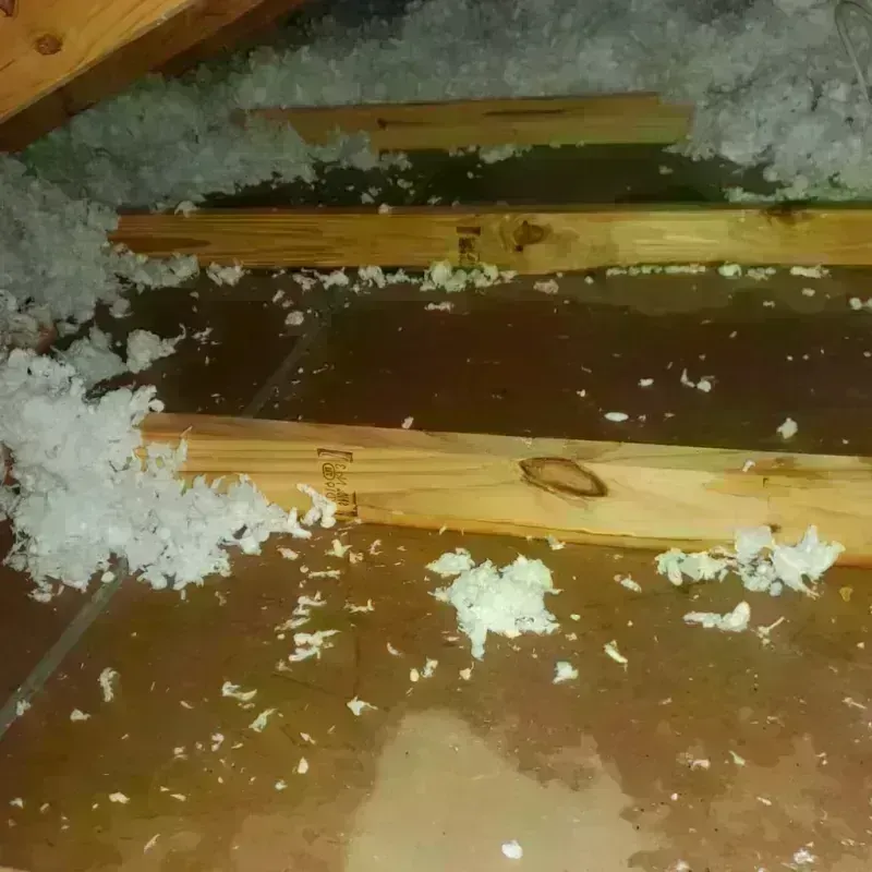 Attic Water Damage in Binghamton, NY