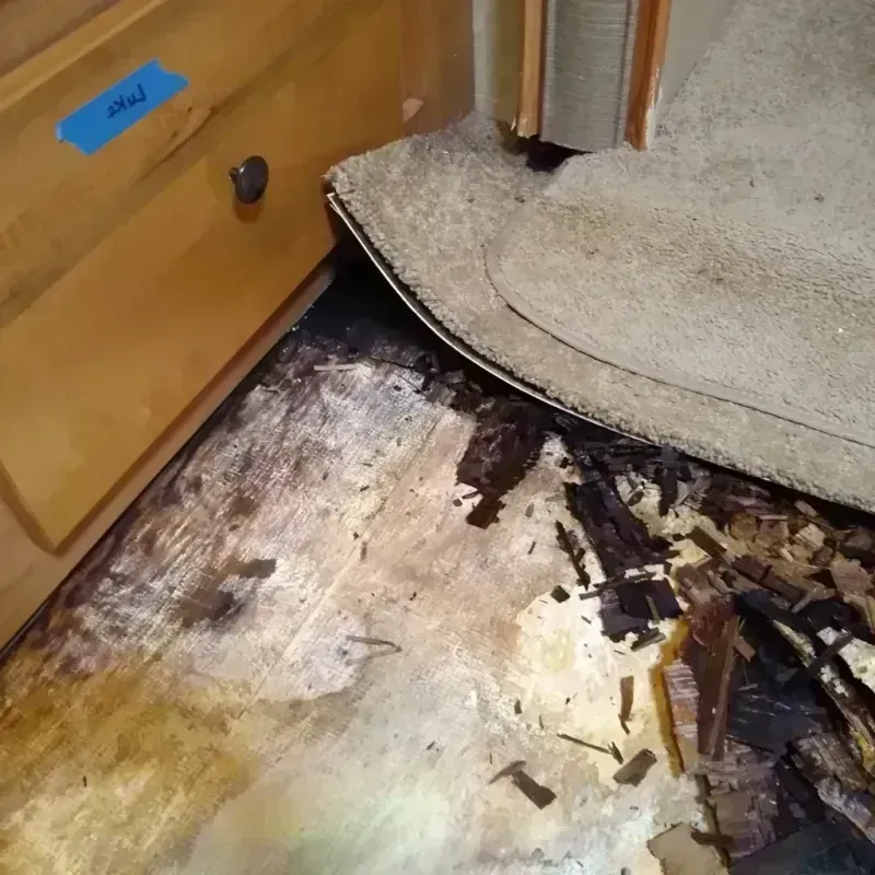 Wood Floor Water Damage in Binghamton, NY